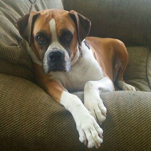 Meet your Posher, Natalie